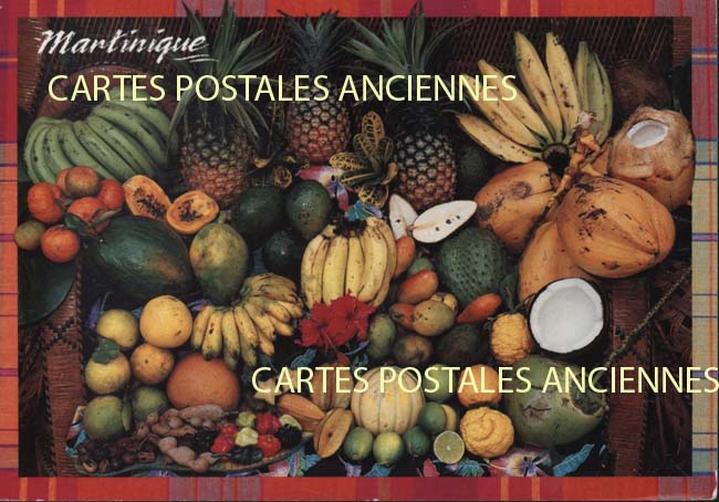 Cartes postales anciennes > CARTES POSTALES > carte postale ancienne > cartes-postales-ancienne.com Antilles francaises