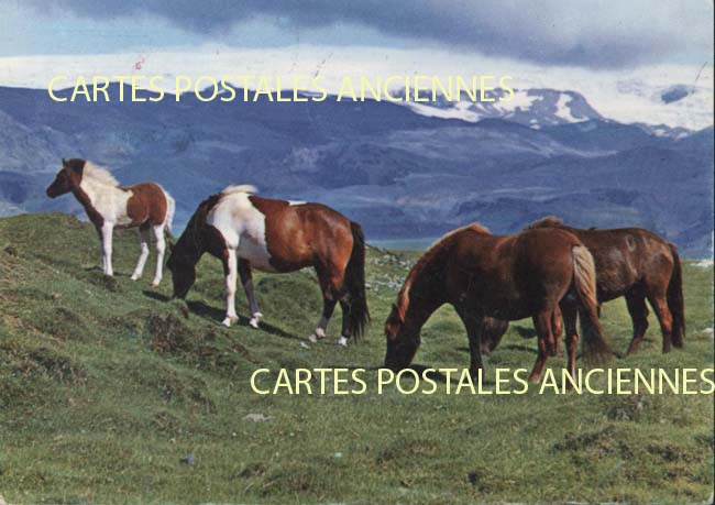 Cartes postales anciennes > CARTES POSTALES > carte postale ancienne > cartes-postales-ancienne.com Islande