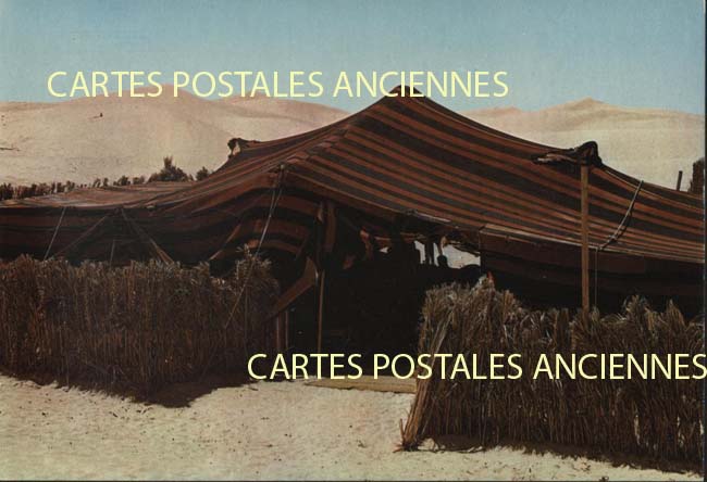 Cartes postales anciennes > CARTES POSTALES > carte postale ancienne > cartes-postales-ancienne.com Algerie