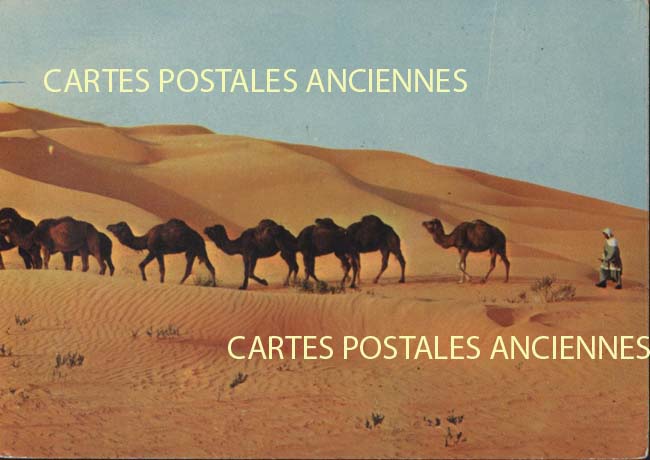 Cartes postales anciennes > CARTES POSTALES > carte postale ancienne > cartes-postales-ancienne.com Algerie