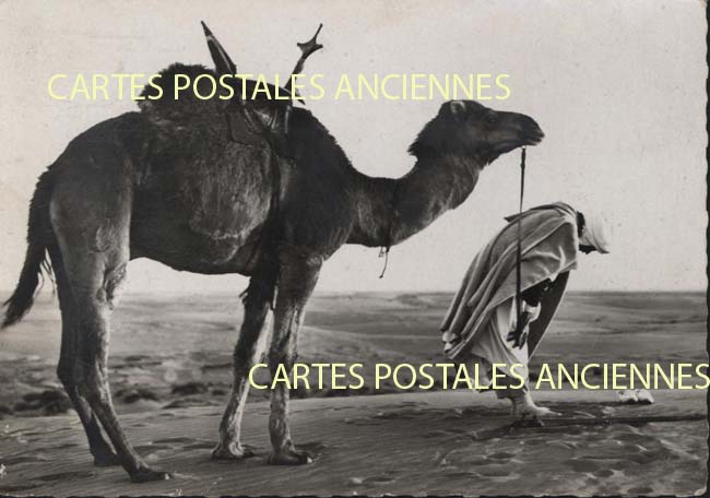 Cartes postales anciennes > CARTES POSTALES > carte postale ancienne > cartes-postales-ancienne.com Algerie