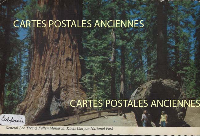 Cartes postales anciennes > CARTES POSTALES > carte postale ancienne > cartes-postales-ancienne.com Etats unis Californie