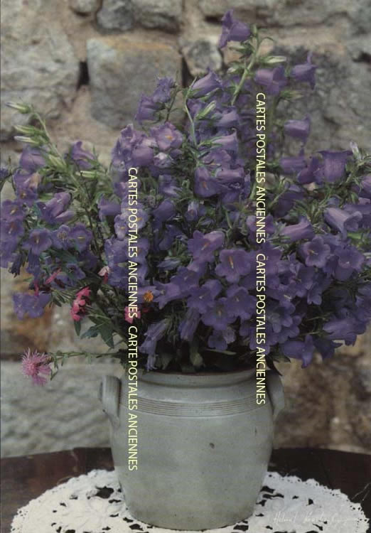 Cartes postales anciennes > CARTES POSTALES > carte postale ancienne > cartes-postales-ancienne.com Fleurs avec vase Aubenas