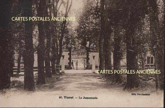 Cartes postales anciennes > CARTES POSTALES > carte postale ancienne > cartes-postales-ancienne.com Algerie Tiaret
