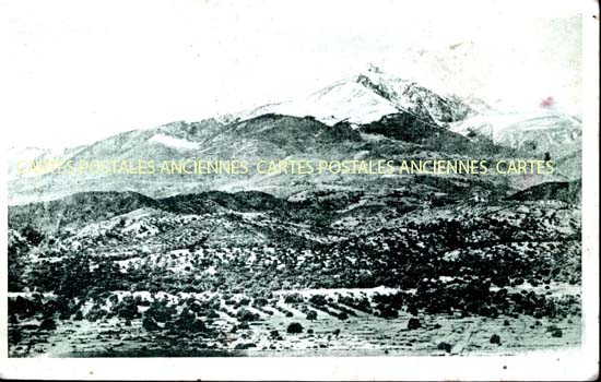 Cartes postales anciennes > CARTES POSTALES > carte postale ancienne > cartes-postales-ancienne.com Algerie Alger