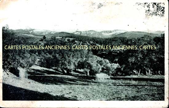 Cartes postales anciennes > CARTES POSTALES > carte postale ancienne > cartes-postales-ancienne.com Algerie Alger