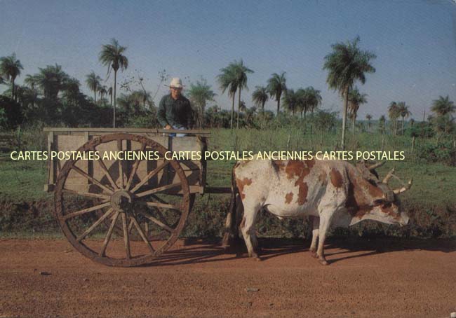 Cartes postales anciennes > CARTES POSTALES > carte postale ancienne > cartes-postales-ancienne.com Paraguay