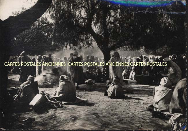 Cartes postales anciennes > CARTES POSTALES > carte postale ancienne > cartes-postales-ancienne.com Algerie