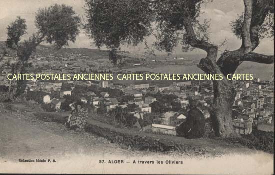 Cartes postales anciennes > CARTES POSTALES > carte postale ancienne > cartes-postales-ancienne.com Algerie Alger