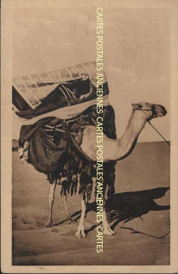 Cartes postales anciennes > CARTES POSTALES > carte postale ancienne > cartes-postales-ancienne.com Algerie