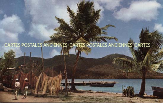 Cartes postales anciennes > CARTES POSTALES > carte postale ancienne > cartes-postales-ancienne.com Antilles francaises