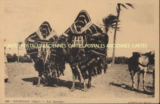 Cartes postales anciennes > CARTES POSTALES > carte postale ancienne > cartes-postales-ancienne.com Algerie Alger