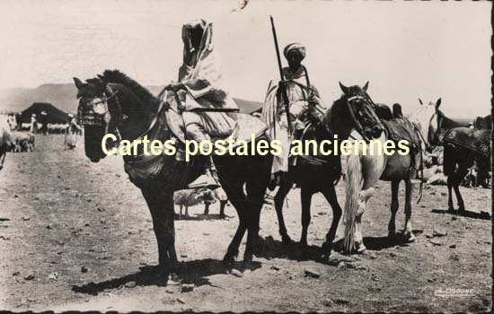 Algeria Tradition scenes and types