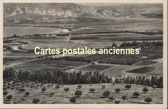 Cartes postales anciennes > CARTES POSTALES > carte postale ancienne > cartes-postales-ancienne.com Palestine