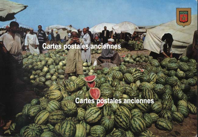 Cartes postales anciennes > CARTES POSTALES > carte postale ancienne > cartes-postales-ancienne.com Maroc