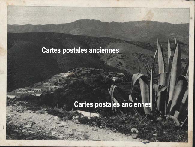 Cartes postales anciennes > CARTES POSTALES > carte postale ancienne > cartes-postales-ancienne.com Algerie Nedroma