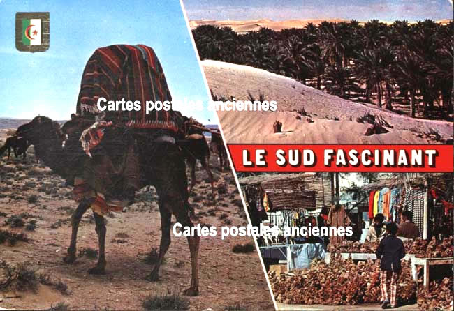 Cartes postales anciennes > CARTES POSTALES > carte postale ancienne > cartes-postales-ancienne.com Algerie