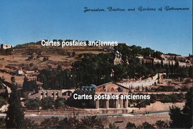 Cartes postales anciennes > CARTES POSTALES > carte postale ancienne > cartes-postales-ancienne.com Palestine