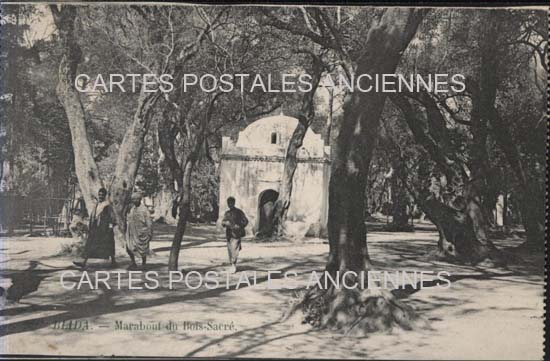 Cartes postales anciennes > CARTES POSTALES > carte postale ancienne > cartes-postales-ancienne.com Algerie Blida