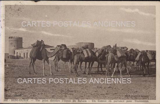 Algeria Tradition scenes and types