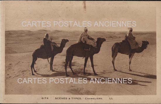 Algeria Tradition scenes and types