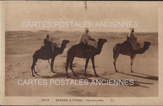 Cartes postales anciennes > CARTES POSTALES > carte postale ancienne > cartes-postales-ancienne.com Algerie Hussein dey