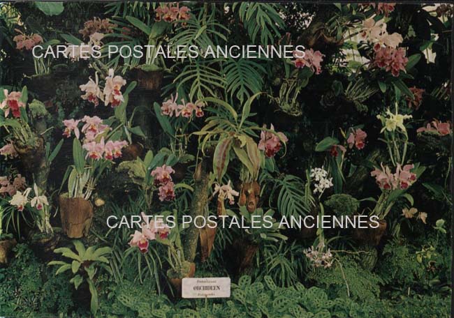 Cartes postales anciennes > CARTES POSTALES > carte postale ancienne > cartes-postales-ancienne.com Fleurs