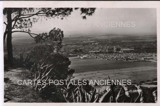 Cartes postales anciennes > CARTES POSTALES > carte postale ancienne > cartes-postales-ancienne.com Algerie Saint denis du sig