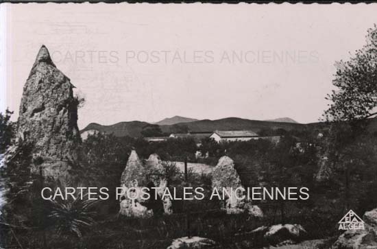 Cartes postales anciennes > CARTES POSTALES > carte postale ancienne > cartes-postales-ancienne.com Algerie Guelma