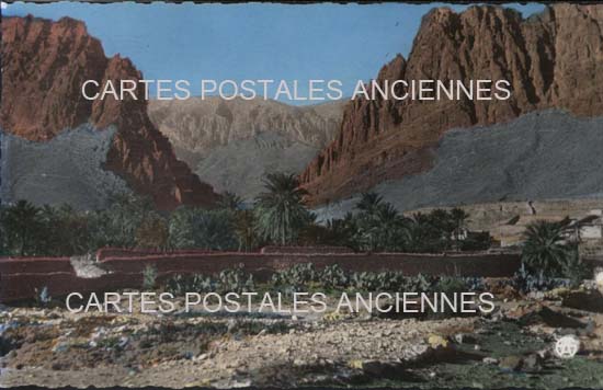 Cartes postales anciennes > CARTES POSTALES > carte postale ancienne > cartes-postales-ancienne.com Algerie Oran