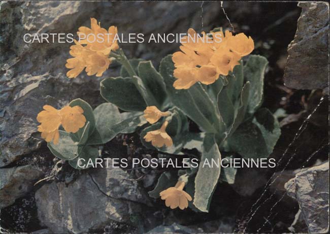Cartes postales anciennes > CARTES POSTALES > carte postale ancienne > cartes-postales-ancienne.com Union europeenne Autriche