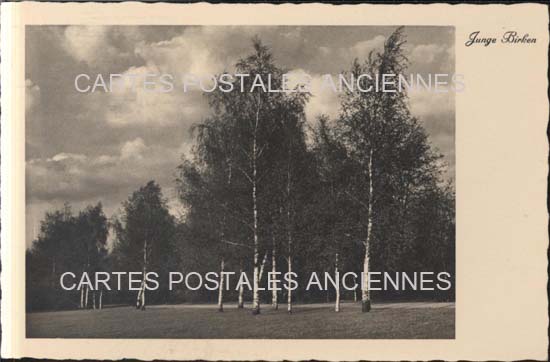 Cartes postales anciennes > CARTES POSTALES > carte postale ancienne > cartes-postales-ancienne.com Angleterre