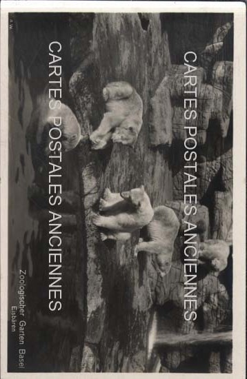 Cartes postales anciennes > CARTES POSTALES > carte postale ancienne > cartes-postales-ancienne.com Suisse