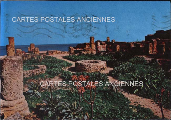 Cartes postales anciennes > CARTES POSTALES > carte postale ancienne > cartes-postales-ancienne.com Algerie Wilaya de tipaza
