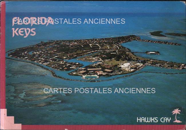 Cartes postales anciennes > CARTES POSTALES > carte postale ancienne > cartes-postales-ancienne.com Etats unis Floride