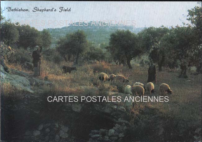 Cartes postales anciennes > CARTES POSTALES > carte postale ancienne > cartes-postales-ancienne.com Palestine