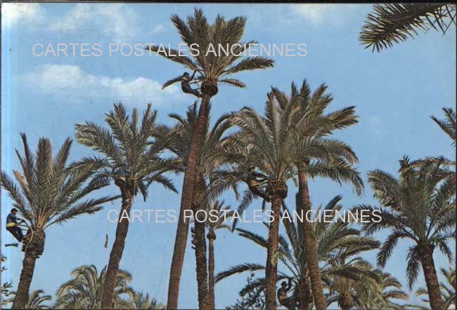 Cartes postales anciennes > CARTES POSTALES > carte postale ancienne > cartes-postales-ancienne.com Union europeenne Espagne