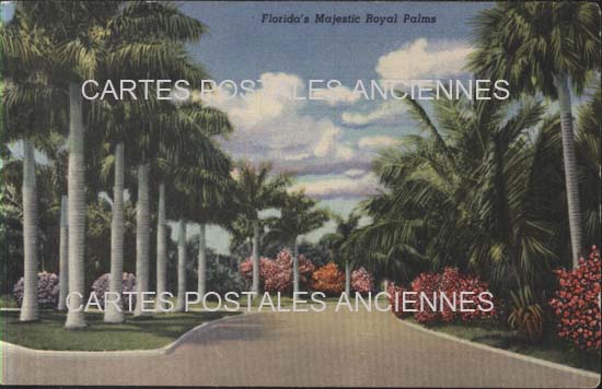 Cartes postales anciennes > CARTES POSTALES > carte postale ancienne > cartes-postales-ancienne.com Etats unis Floride