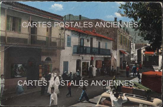 Cartes postales anciennes > CARTES POSTALES > carte postale ancienne > cartes-postales-ancienne.com Algerie Nedroma