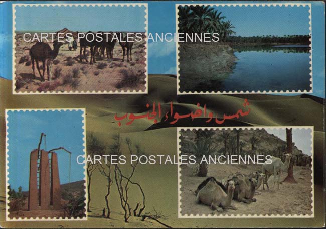 Cartes postales anciennes > CARTES POSTALES > carte postale ancienne > cartes-postales-ancienne.com Algerie Tlemcen