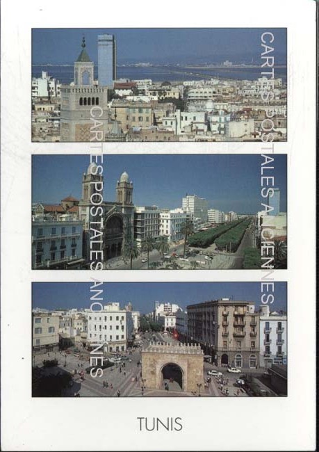 Cartes postales anciennes > CARTES POSTALES > carte postale ancienne > cartes-postales-ancienne.com Tunisie Tunis