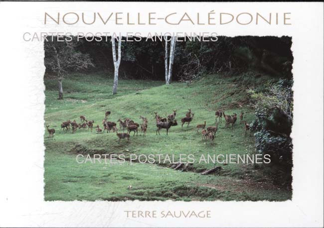 Cartes postales anciennes > CARTES POSTALES > carte postale ancienne > cartes-postales-ancienne.com Nouvelle caledonie