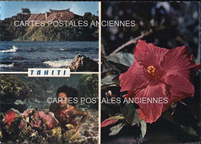 Cartes postales anciennes > CARTES POSTALES > carte postale ancienne > cartes-postales-ancienne.com Polynesie Tahiti Bali hai