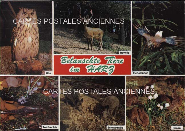 Cartes postales anciennes > CARTES POSTALES > carte postale ancienne > cartes-postales-ancienne.com Union europeenne Allemagne