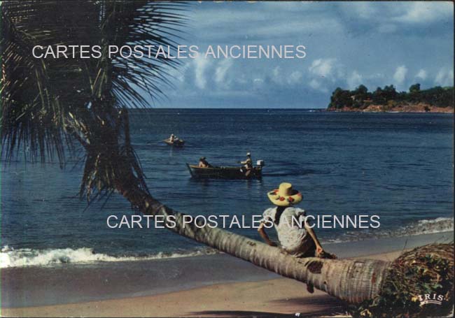 French antilles Guadeloupe