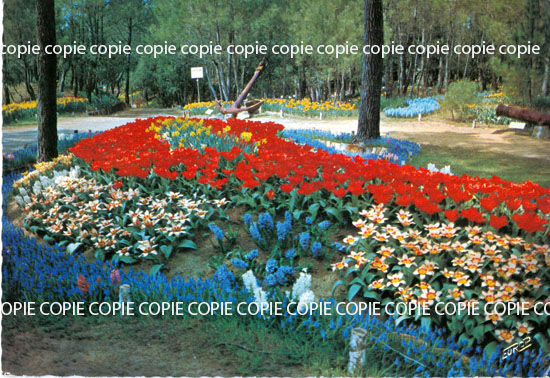 Cartes postales anciennes > CARTES POSTALES > carte postale ancienne > cartes-postales-ancienne.com Paysage