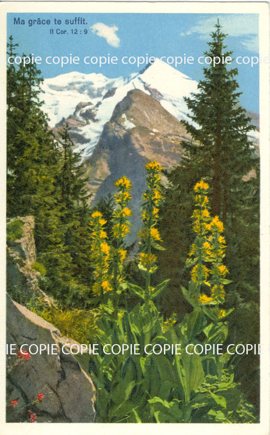 Cartes postales anciennes > CARTES POSTALES > carte postale ancienne > cartes-postales-ancienne.com Paysage