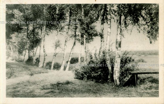 Cartes postales anciennes > CARTES POSTALES > carte postale ancienne > cartes-postales-ancienne.com Paysage