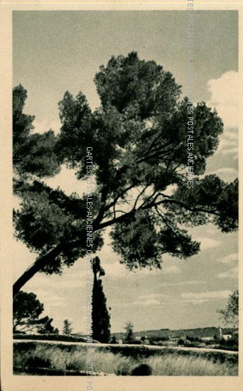 Cartes postales anciennes > CARTES POSTALES > carte postale ancienne > cartes-postales-ancienne.com Paysage