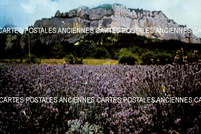 Cartes postales anciennes > CARTES POSTALES > carte postale ancienne > cartes-postales-ancienne.com Paysage